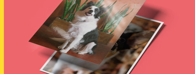 Klasický tisk fotografií